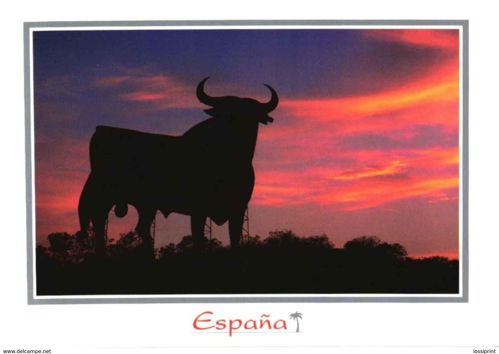 Spain:Bull At Sunset - Alicante