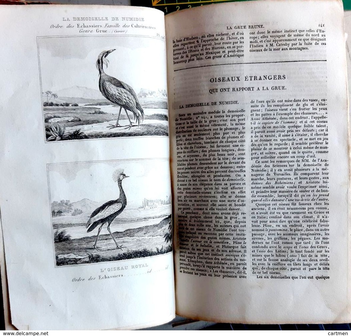 BUFFON 200 GRAVURES OISEAUX POISSONS TORTUES SERPENTS ET DIVERS  RECUEIL AVEC TEXTE 1836 - 1801-1900