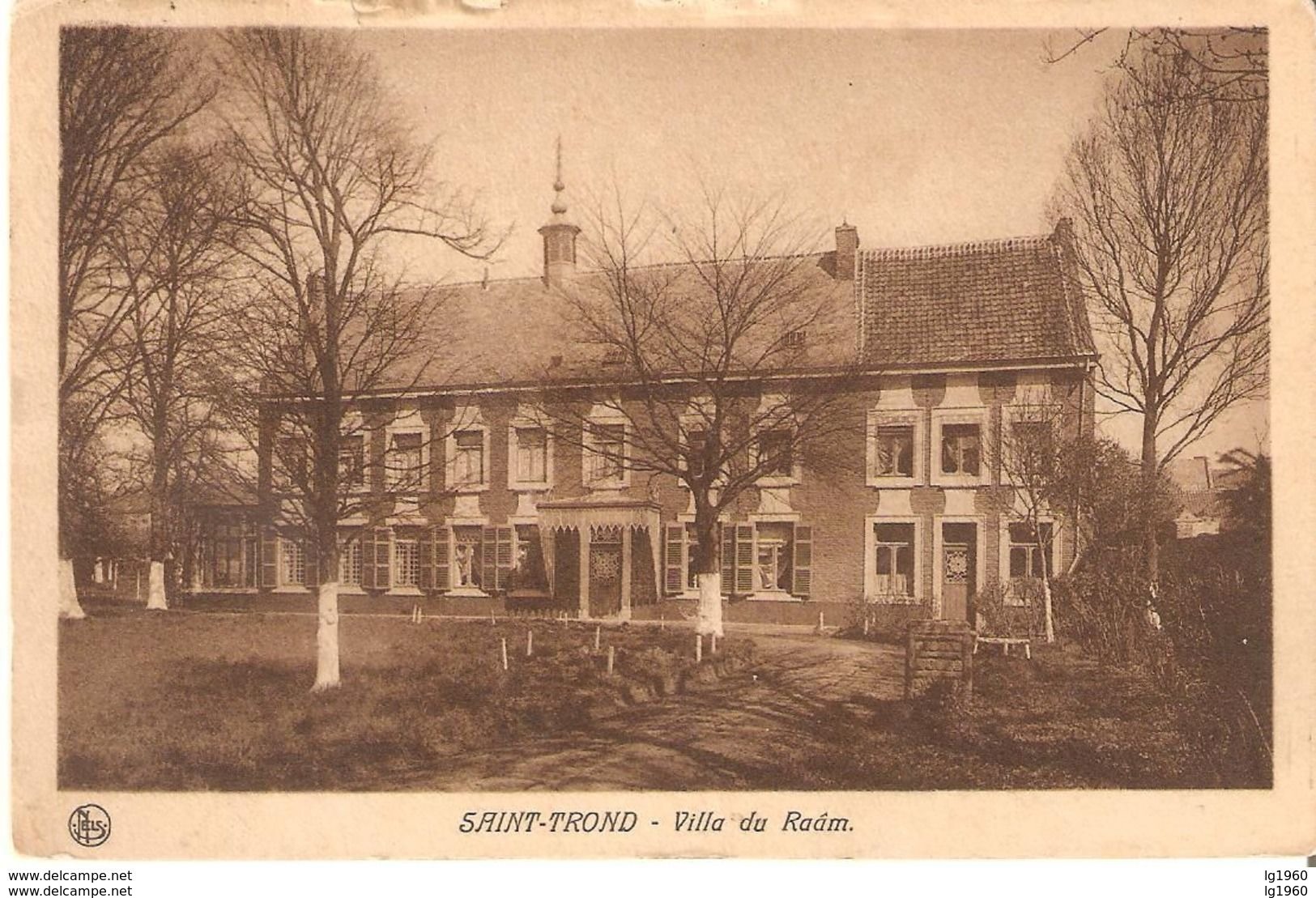 178) Sint-Truiden - Villa Du Raam - 1911 - Sint-Truiden