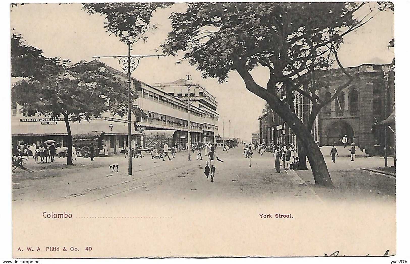 COLOMBO-CEYLAN - York Street - Sri Lanka (Ceylon)