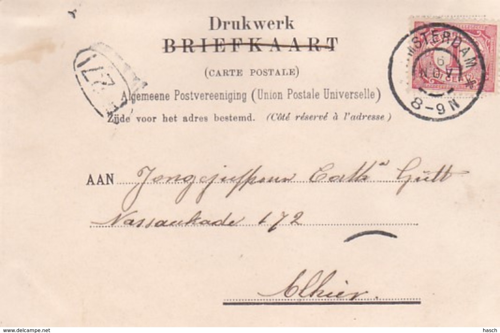 481751Amsterdam, Artis Pelikanen En Eenden, (poststempel 1904) (Kaart Is Iets Bobbelig Door Waterschade ? - Amsterdam