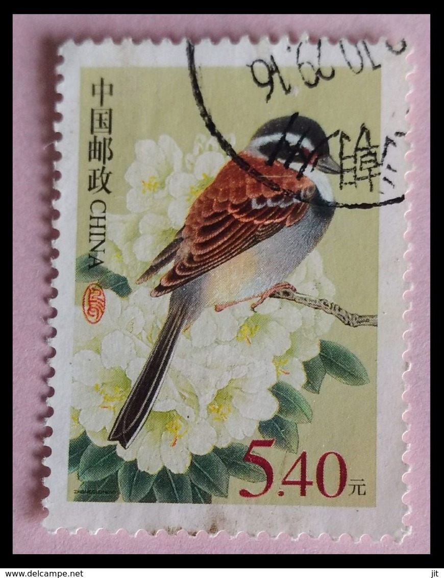 110. CHINA  USED STAMP BIRDS . - Oblitérés