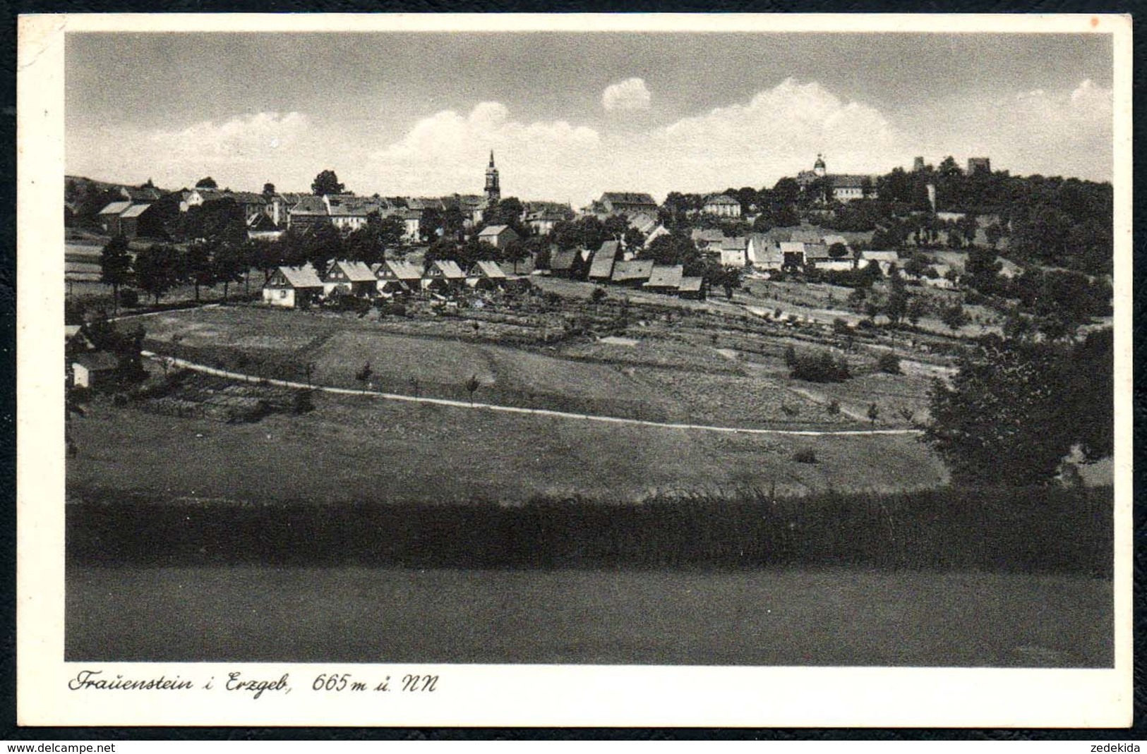 D8190 - Frauenstein - Photo Ittner - Frauenstein (Erzgeb.)