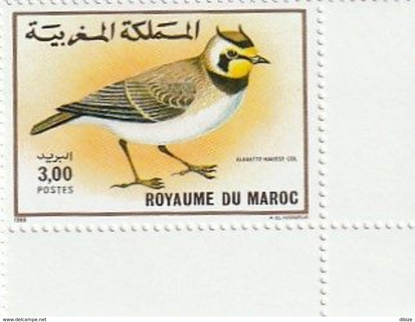 Maroc. 2 Coins D'1 Timbre Chacun Yvert Et Tellier N° 1073-1074 De 1989. Oiseaux. Traquet Du Désert. Alouette Hausse-col - Uccelli Canterini Ed Arboricoli