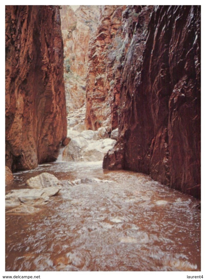 (D 5) Australia - NT - Standley Chasm In Flood (rare !) - Unclassified