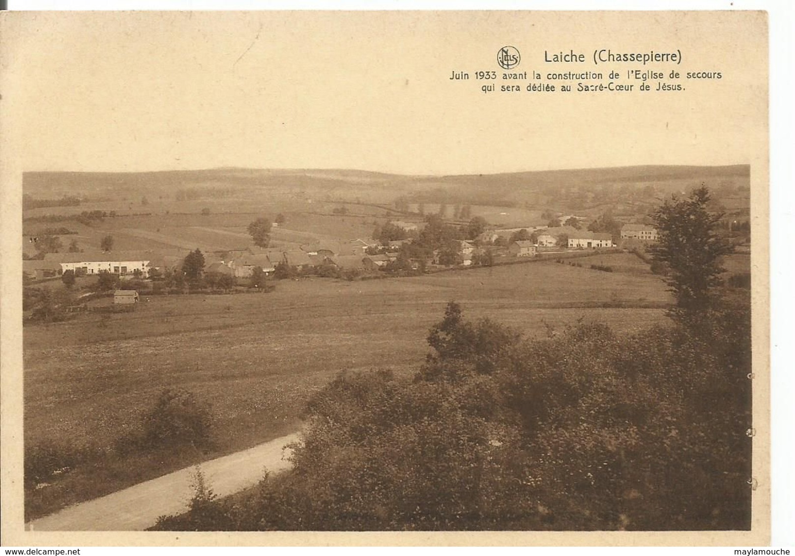 Laiche (mz - Chassepierre