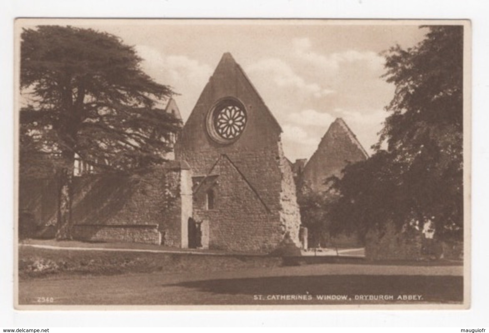 DF / ROYAUME-UNI / ECOSSE / ROXBURGSHIRE / ST BOSWELLS / DRYBURGH ABBEY / ST. CATHERINE'S WINDOW - Roxburghshire