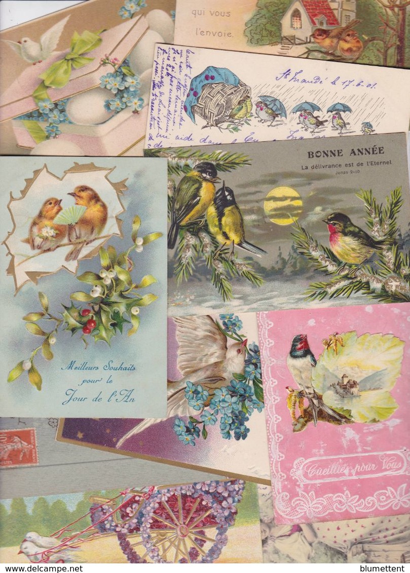 Lot 2494 De 10 CPA Oiseaux Déstockage Pour Revendeurs Ou Collectionneurs - 5 - 99 Postcards