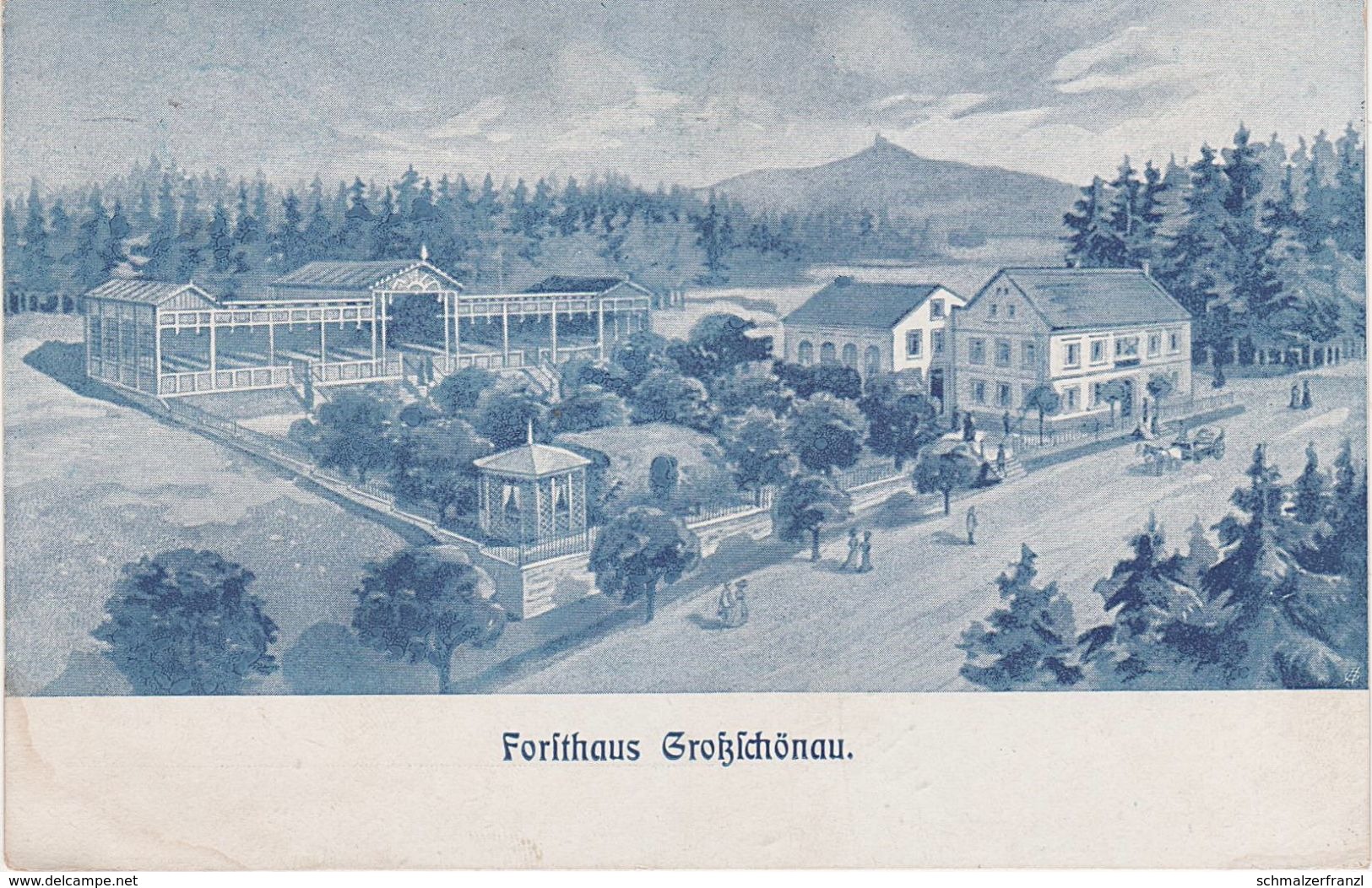 Litho AK Großschönau Gasthof Forsthaus A Burgsberg Hradek Spitzberg Spicak Spitzkunnersdorf Hainewalde Warnsdorf Zittau - Grossschoenau (Sachsen)