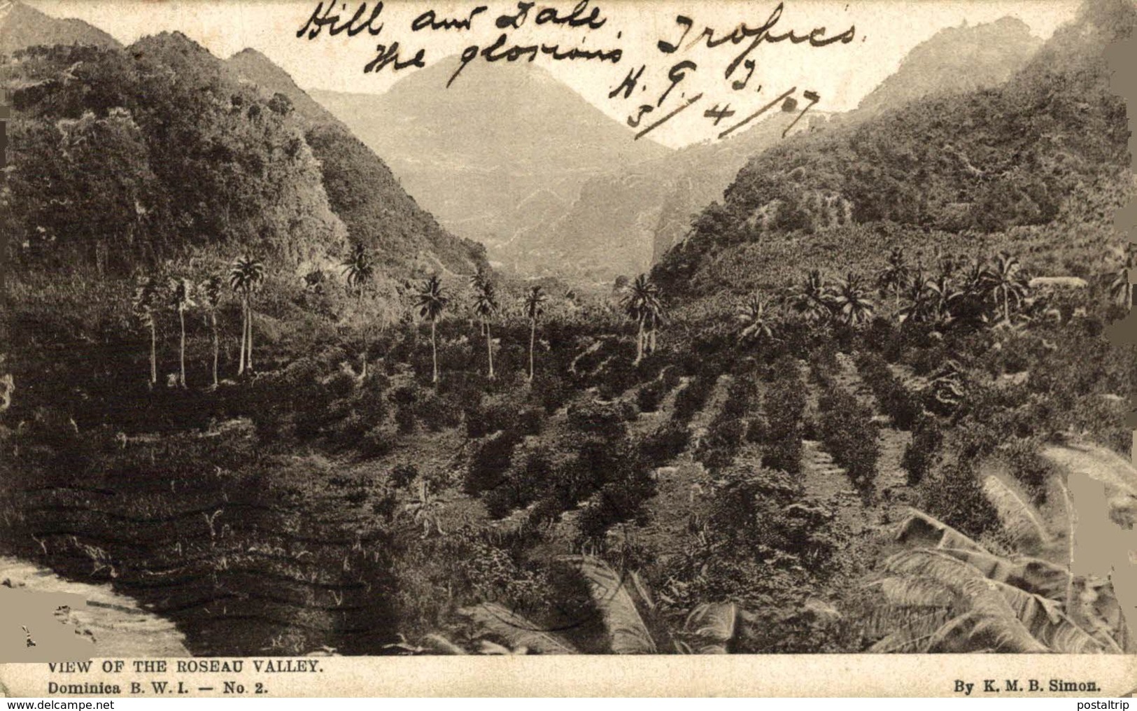 DOMINICA. VIEW OF THE ROSEAU VALLEY - Dominica