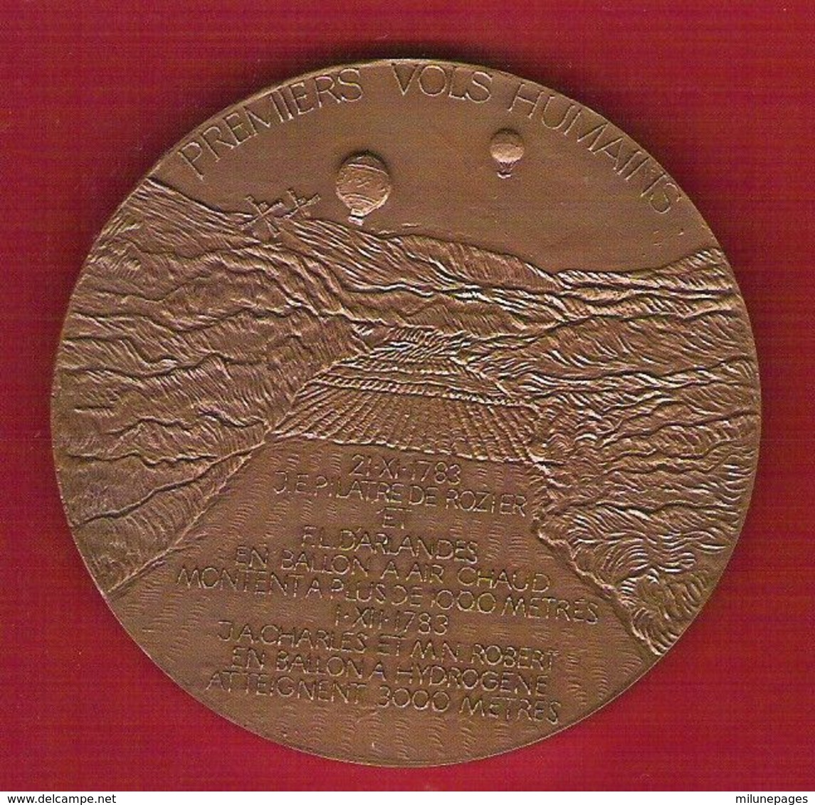 Medaille Bronze Des Inventeurs De L'Aérostat Et Des Premiers Vol Humain Montgolfier Pilatre De Rozier 1783/1983 - Altri & Non Classificati