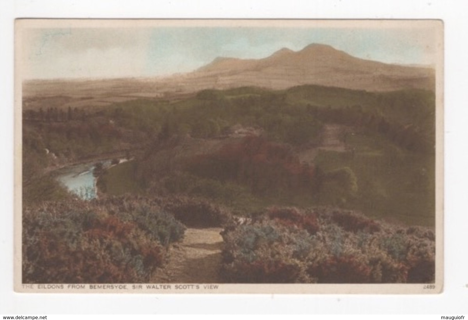 DF / ROYAUME-UNI / ECOSSE / ROXBURGSHIRE / THE EILDONS FROM BEMERSYDE / SIR WALTER SCOTT'S VIEW - Roxburghshire