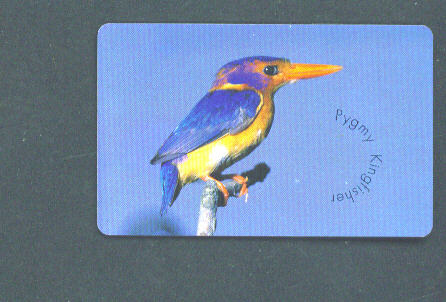 SOUTH AFRICA - Chip Phonecard/Kingfisher - Afrique Du Sud