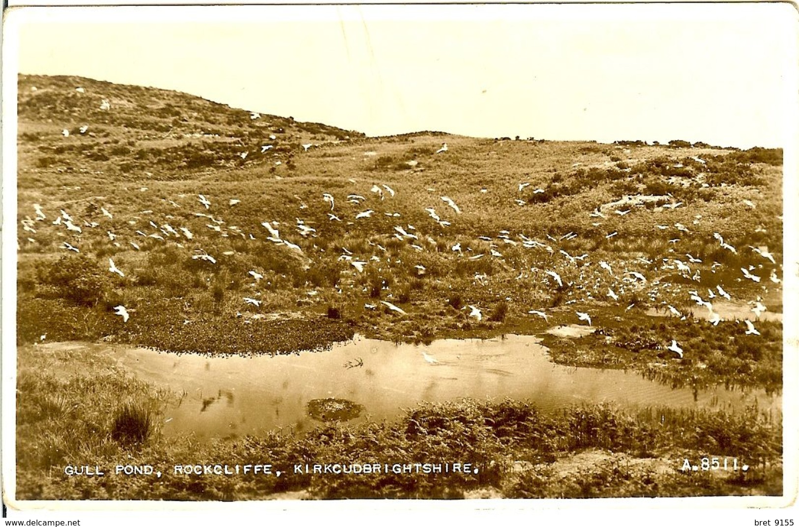 NORVEGE CARTE PHOTO GULL POND ROCKCLIFFE KIRKCUDBRIGHTSHIRE - Noruega