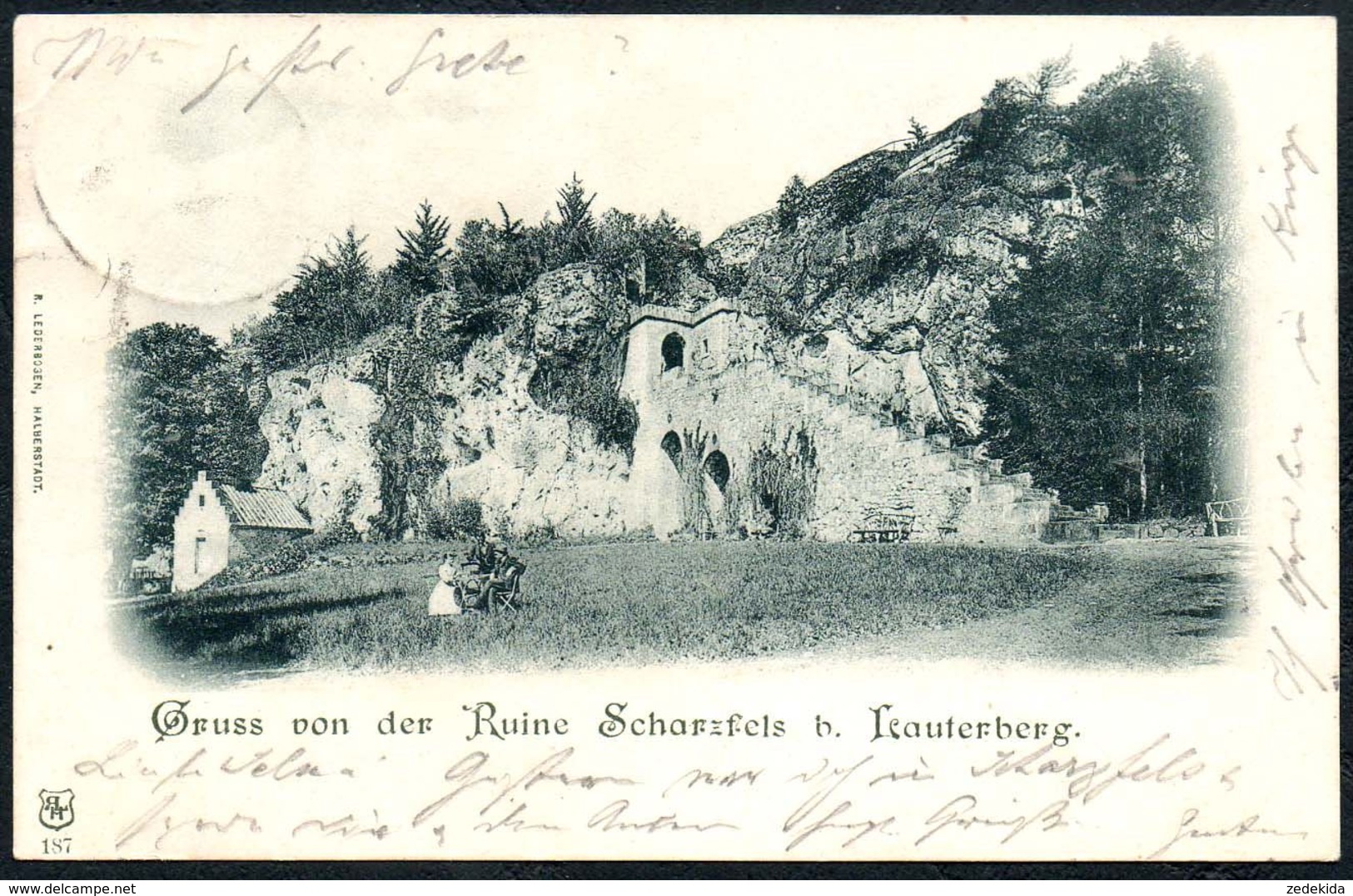 D8205 - Bad Lauterberg Gruß Aus - Ruine Scharzfels - R. Lederbagen Halberstadt - Bad Lauterberg