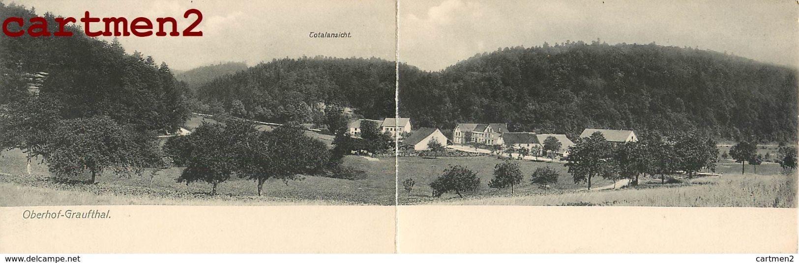 PANORAMA DOUBLE OBERHOF-GRAUFTHAL 67 ALSACE ELSASS Eckartswiller - Autres & Non Classés