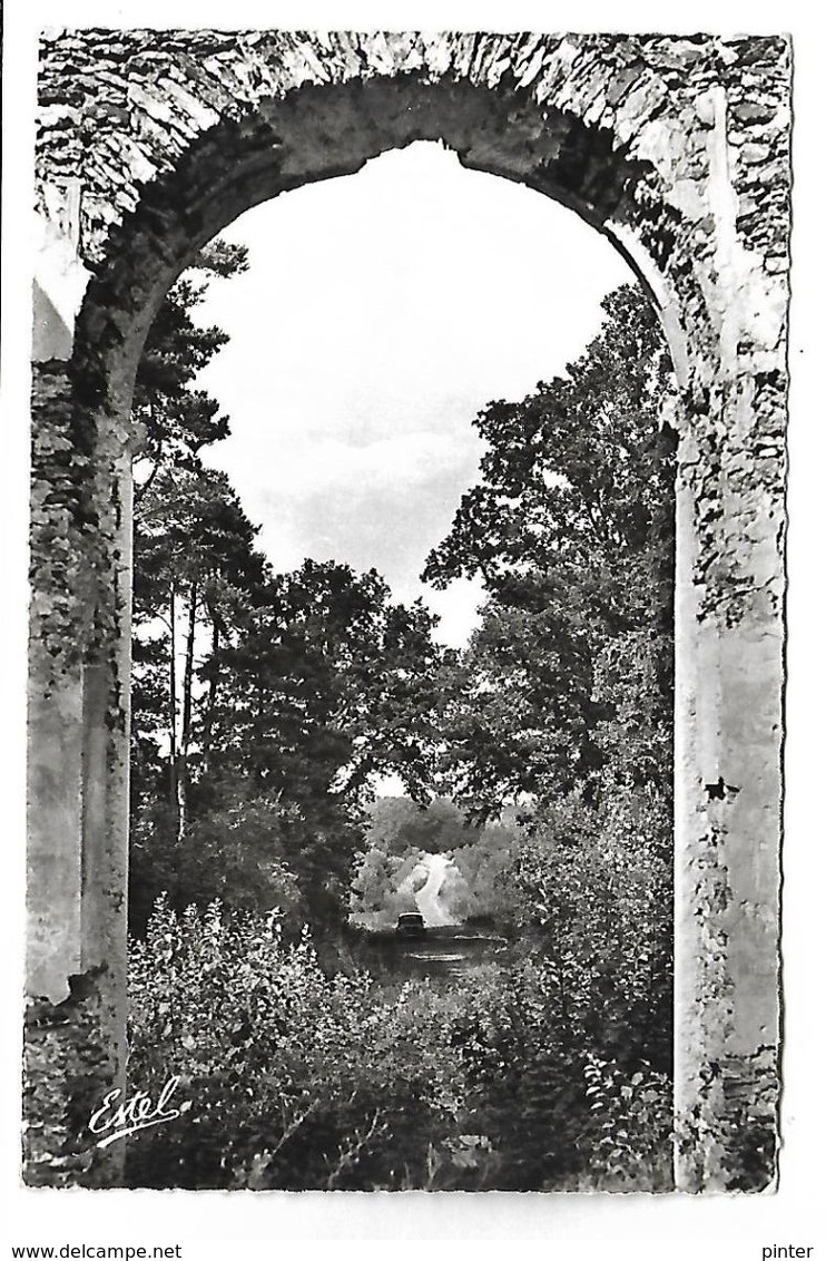 LE PERRAY EN YVELINES - La Chaussée Des Arches, Ruines Du Pavillon Des Princes - Le Perray En Yvelines