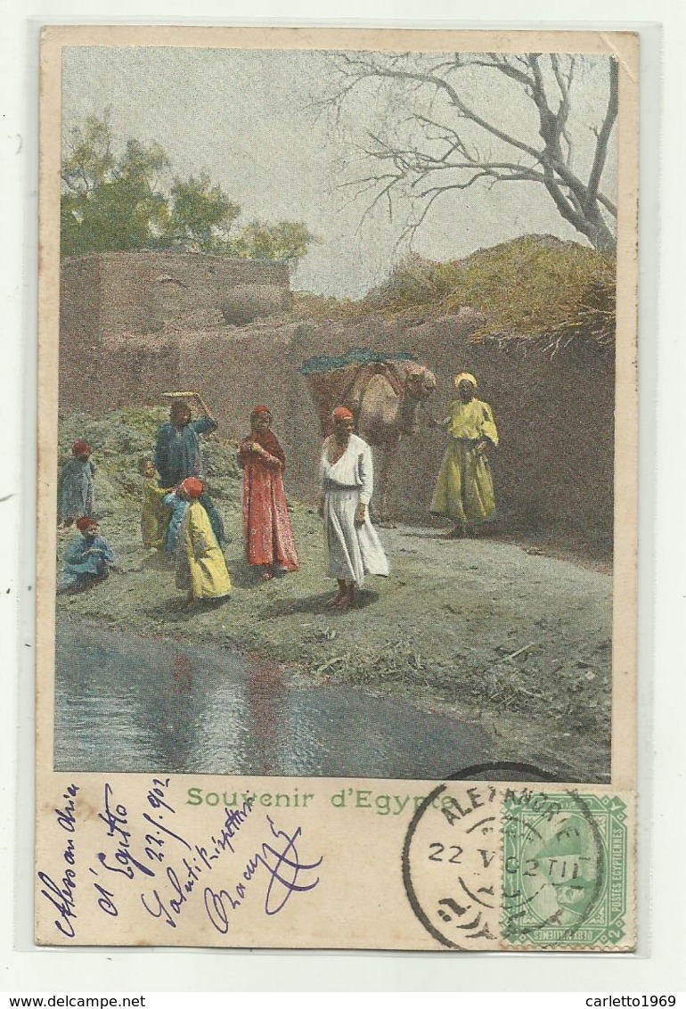 SOUVENIR D'EGYPTE ILLUSTRATA  1902 - VIAGGIATA   FP - Sonstige & Ohne Zuordnung