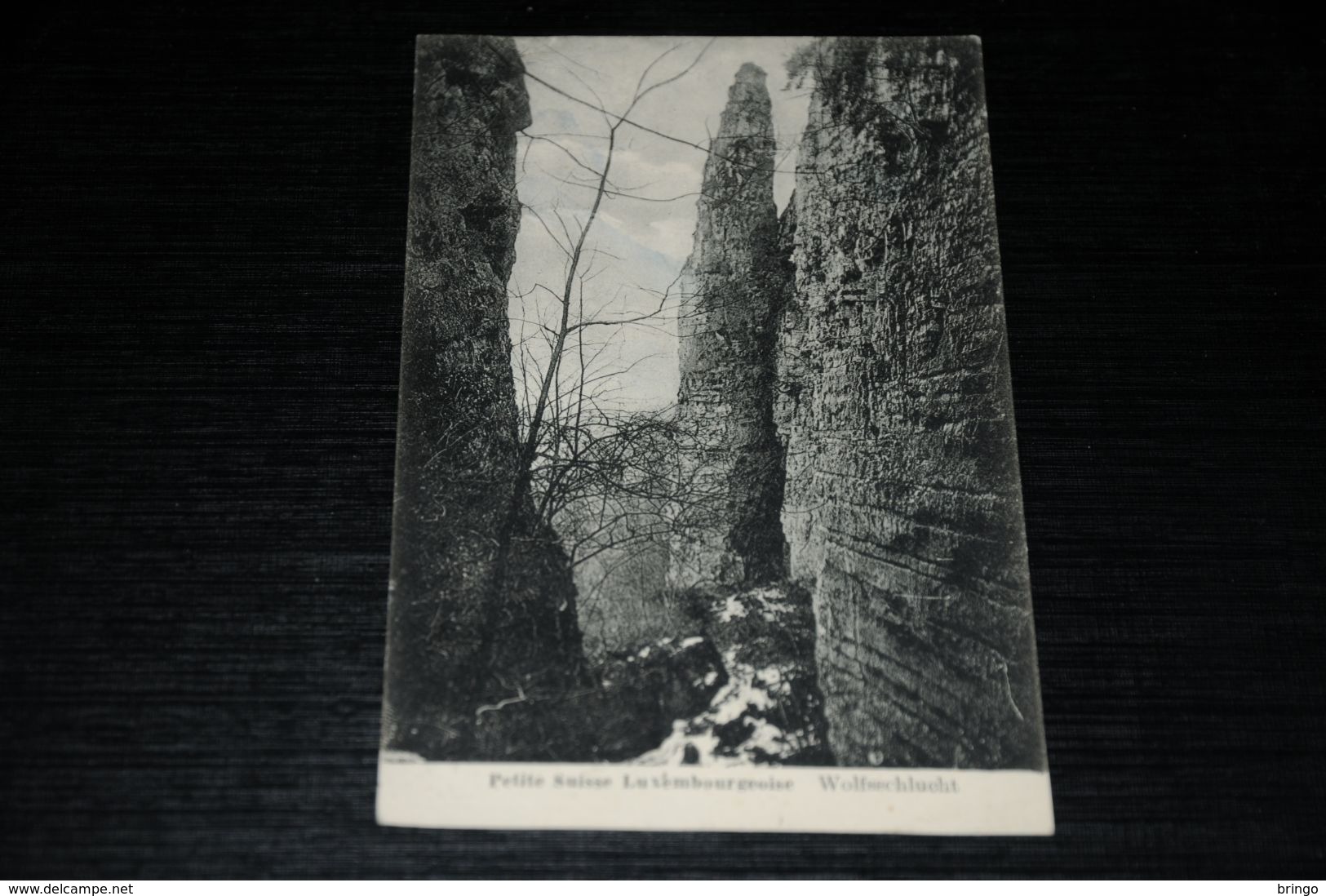 17277-                DIEKIRCH, PETITE SUISSE LUXEMBOURGEOISE WOLFSSCHLUCHT - 1924 - Diekirch