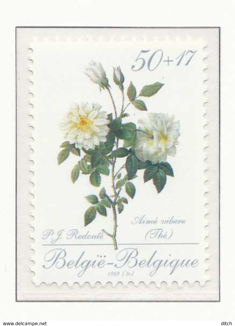 D - [152871]TB//**/Mnh-[2320] Belgique 1989, Fleurs, Roses De Redouté, Aimé Vibère, Du Bloc 65, SNC - Roses