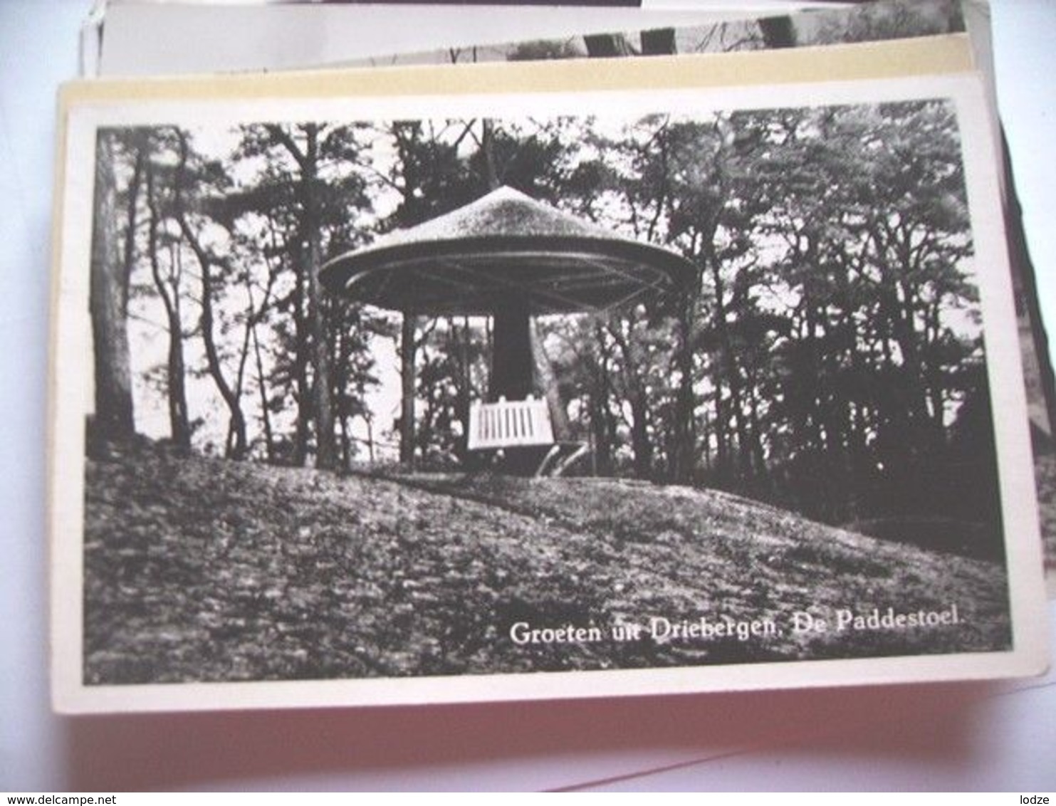 Nederland Holland Pays Bas Driebergen De Paddestoel Met Groeten - Driebergen – Rijsenburg