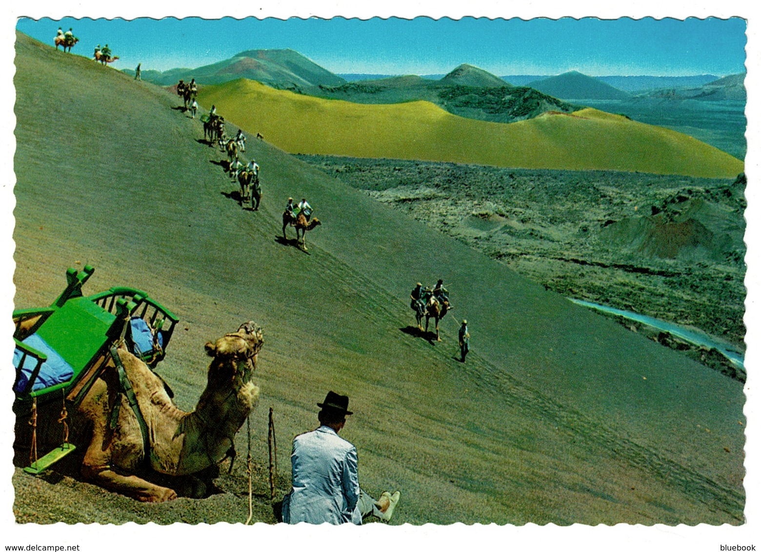 Ref 1385 - Ethnic Postcard - Camel Caravan On Mountain Of Fire - Lanzarote Canary Islands Spain - Lanzarote