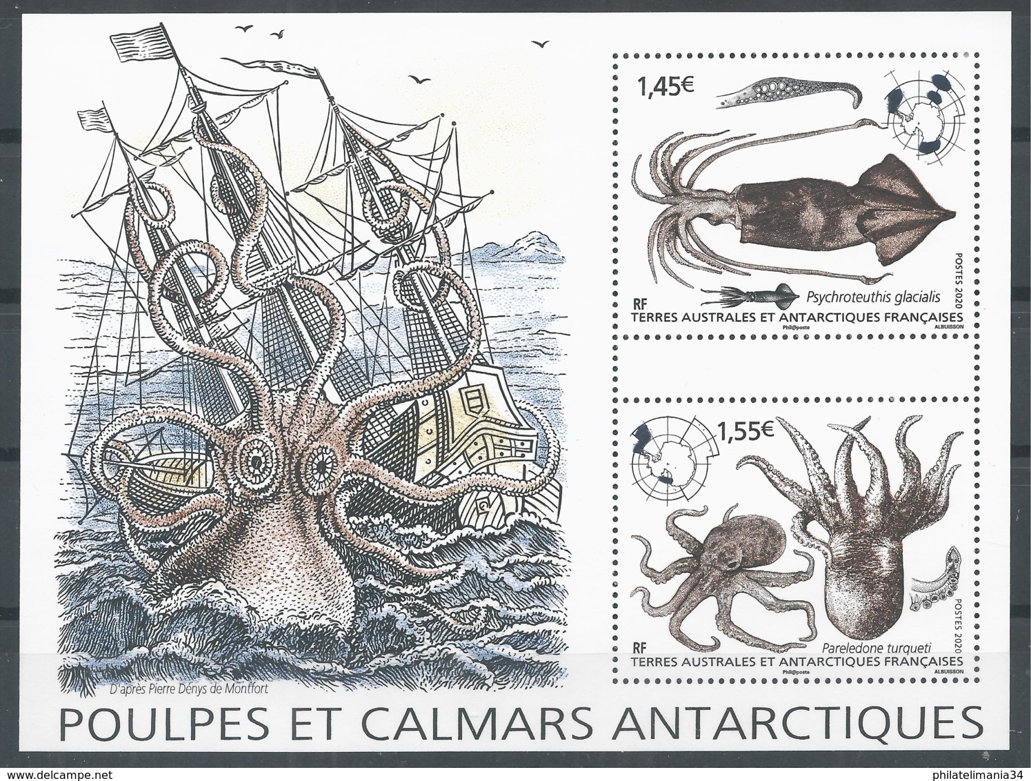 TAAF 2020 - Poulpes Et Calmars Antarctiques - Blocks & Sheetlets