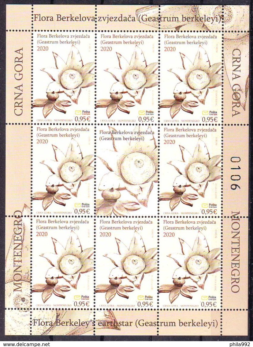 Montenegro 2020 FLORA Geastrum Berkeleyi Mini Sheet (8+L) MNH - Montenegro