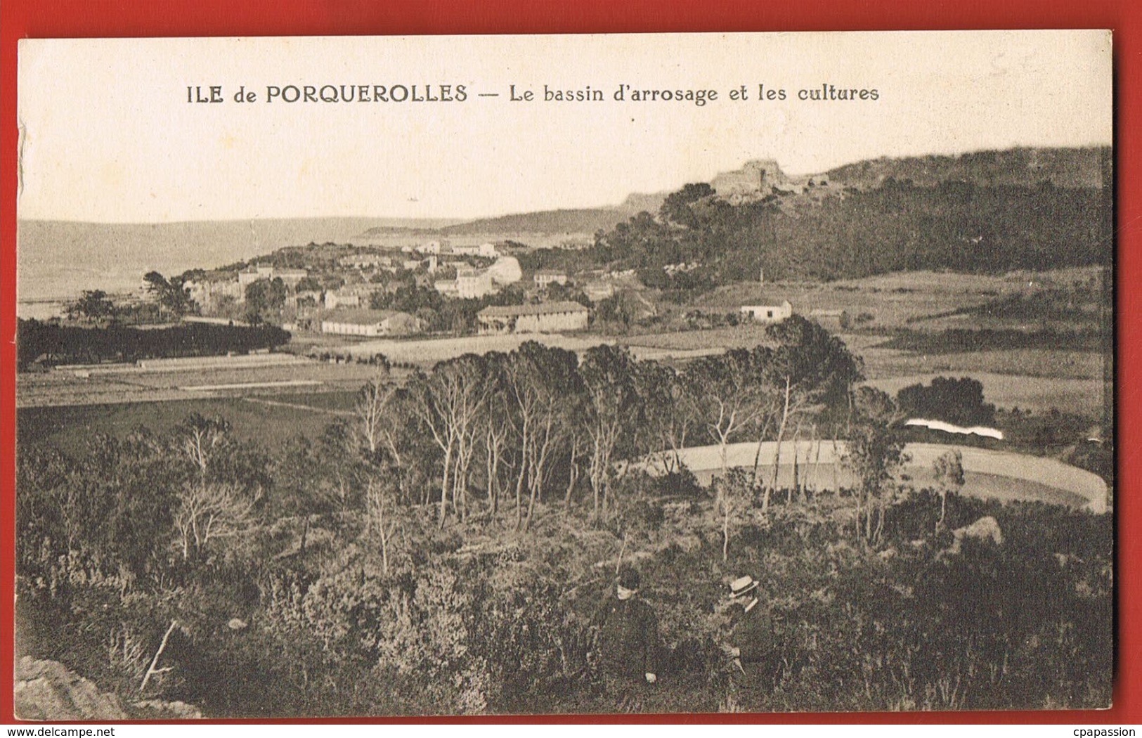 83- ILE DE PORQUEROLLES- Le Bassin D'arrosage Et Les Cultures -  Scans Recto Verso - Porquerolles