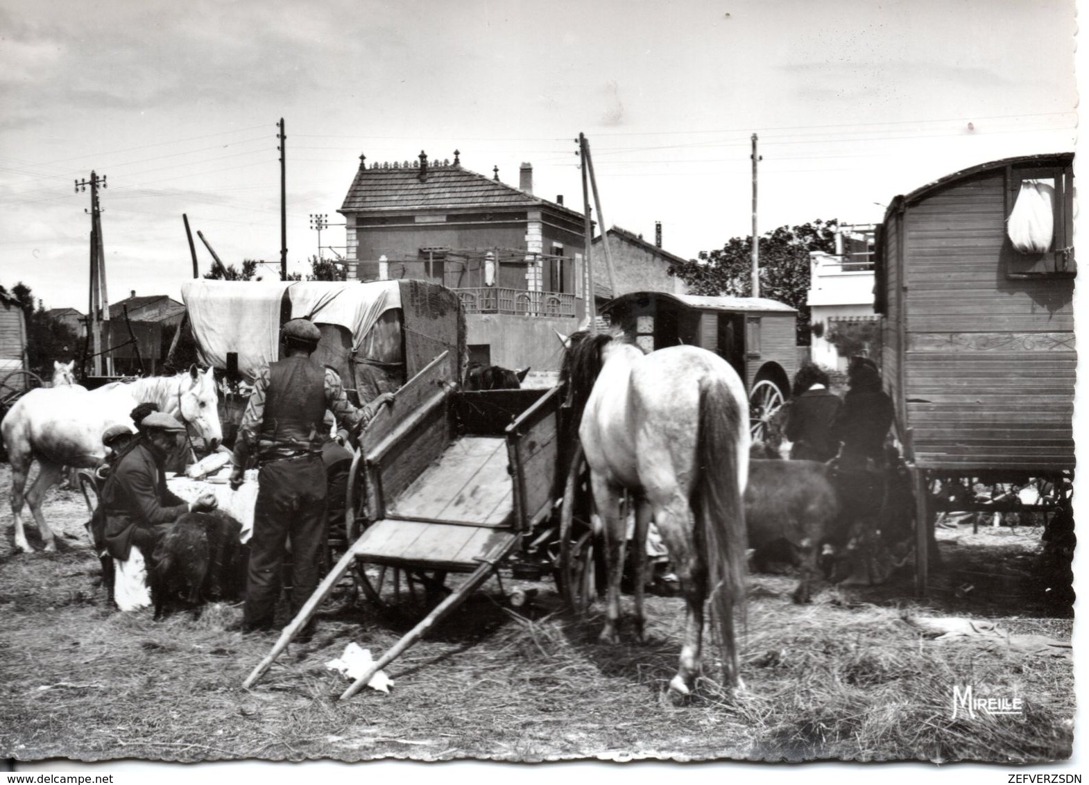 13 STES SAINTES MARIES DE LA MER GITANS CHEVAUX ROULOTTES CAMPEMENT - Saintes Maries De La Mer