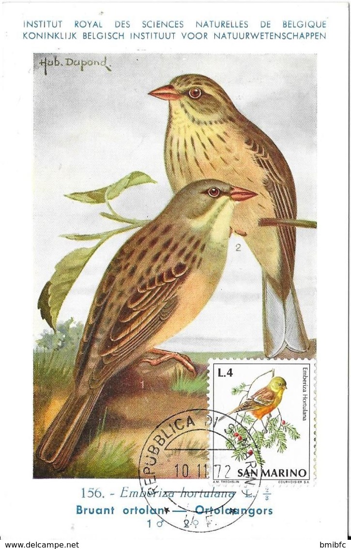 N° 165 - Alouette Calandre  - (Illustrateur Hub. Dupond) - Pájaros