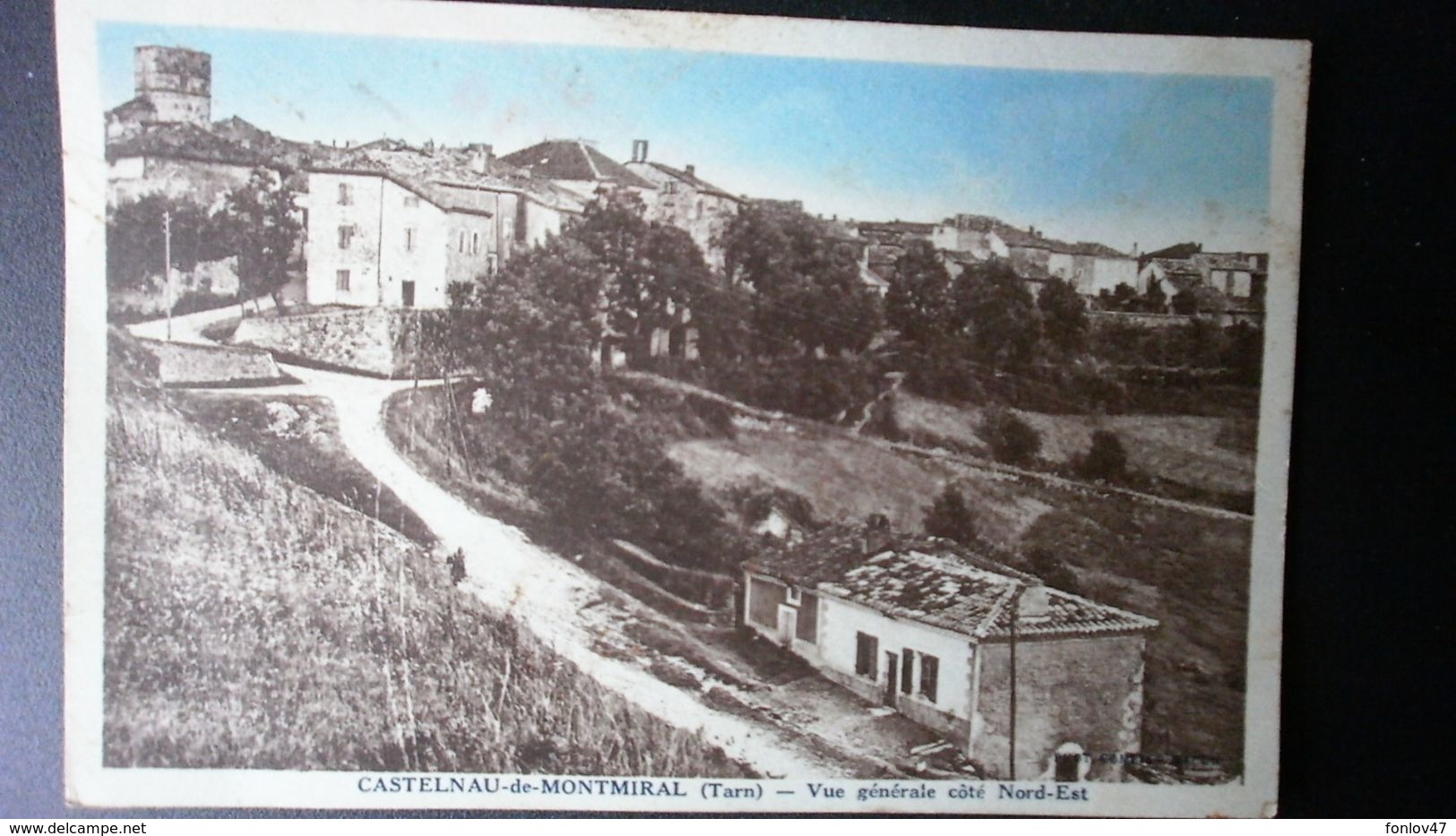 CASTELNAU DE MONTMIRAL  VUE - Castelnau De Montmirail