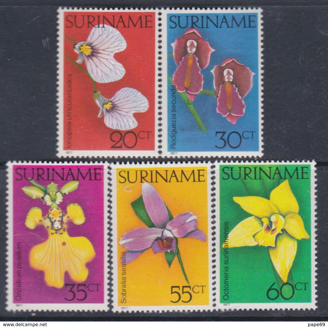 Surinam N° 665 / 69 XX Flore : Orchidées,  Les 5 Valeurs Sans Charnière, TB - Surinam