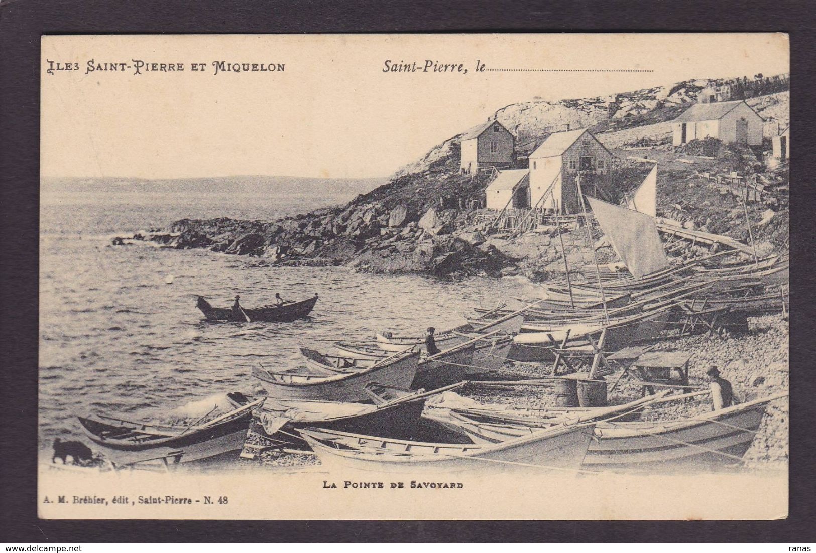 CPA Saint Pierre Et Miquelon Non Circulé - Saint-Pierre Und Miquelon