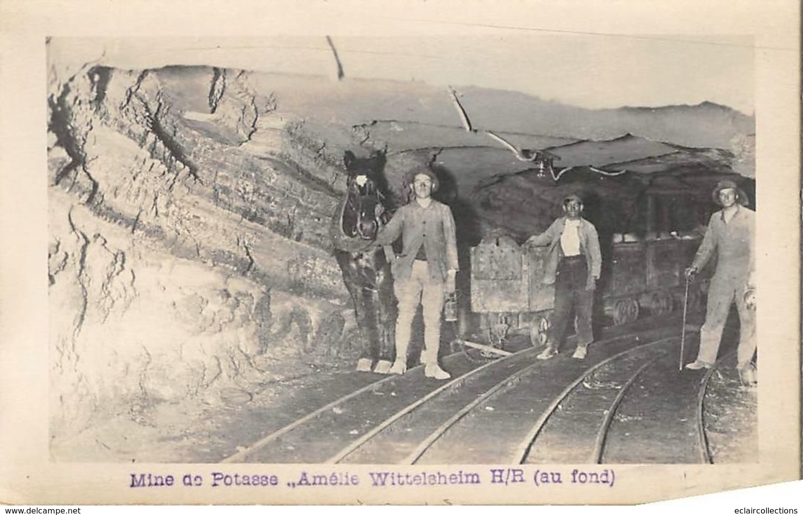 Wittelsheim          68     Mines De Potasse ..Amélie . Ouvriers Au Fond   Wagonnet Tiré Par Un Cheval 5   (voir Scan) - Autres & Non Classés