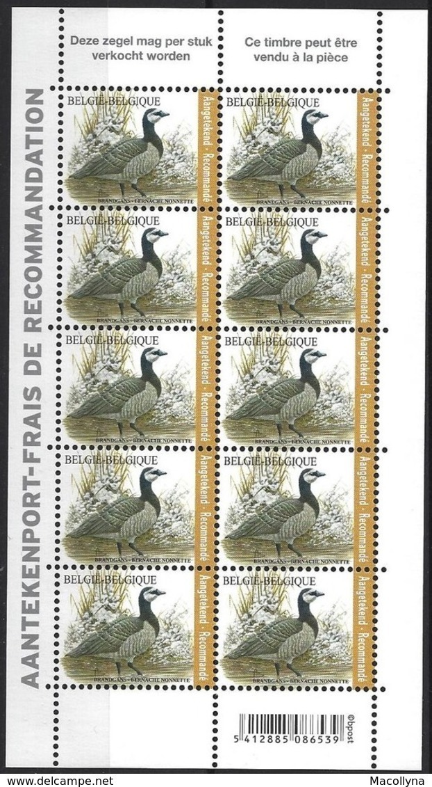 Belg. 2020 - La Bernache Nonnette ** (timbre Pour Recommandé)  - De Brandgans** Gratis Verzending (Envoi Gratuit) - Unused Stamps