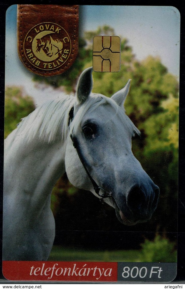 HUNGARY 2005 PHONECARD HORSES USED VF!! - Horses