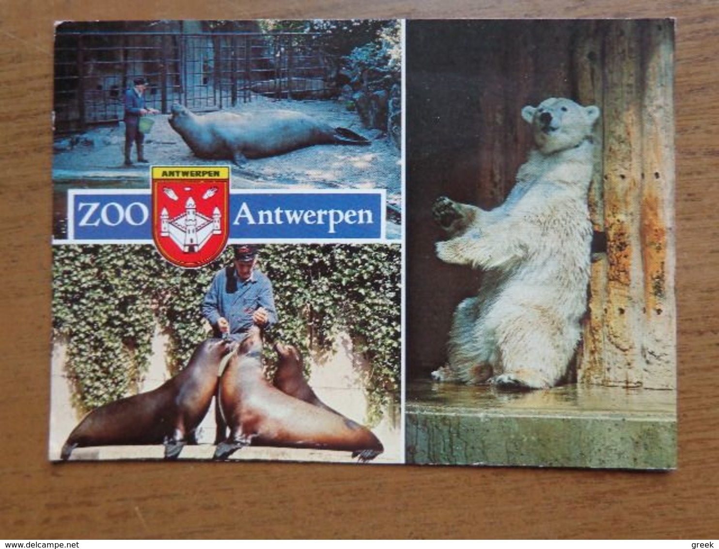 Dierenpark - Zoo / Zoo Van Antwerpen --> Beschreven - Autres & Non Classés