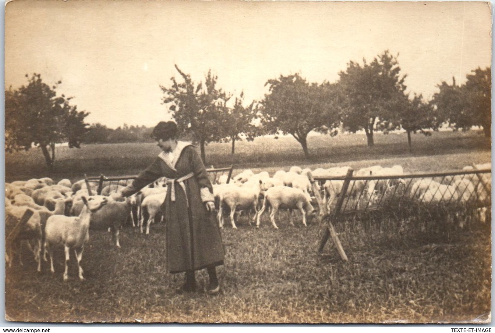 THEMES - AGRICULTURE - CARTE PHOTO - Bergère Et Ses Moutons - Allevamenti