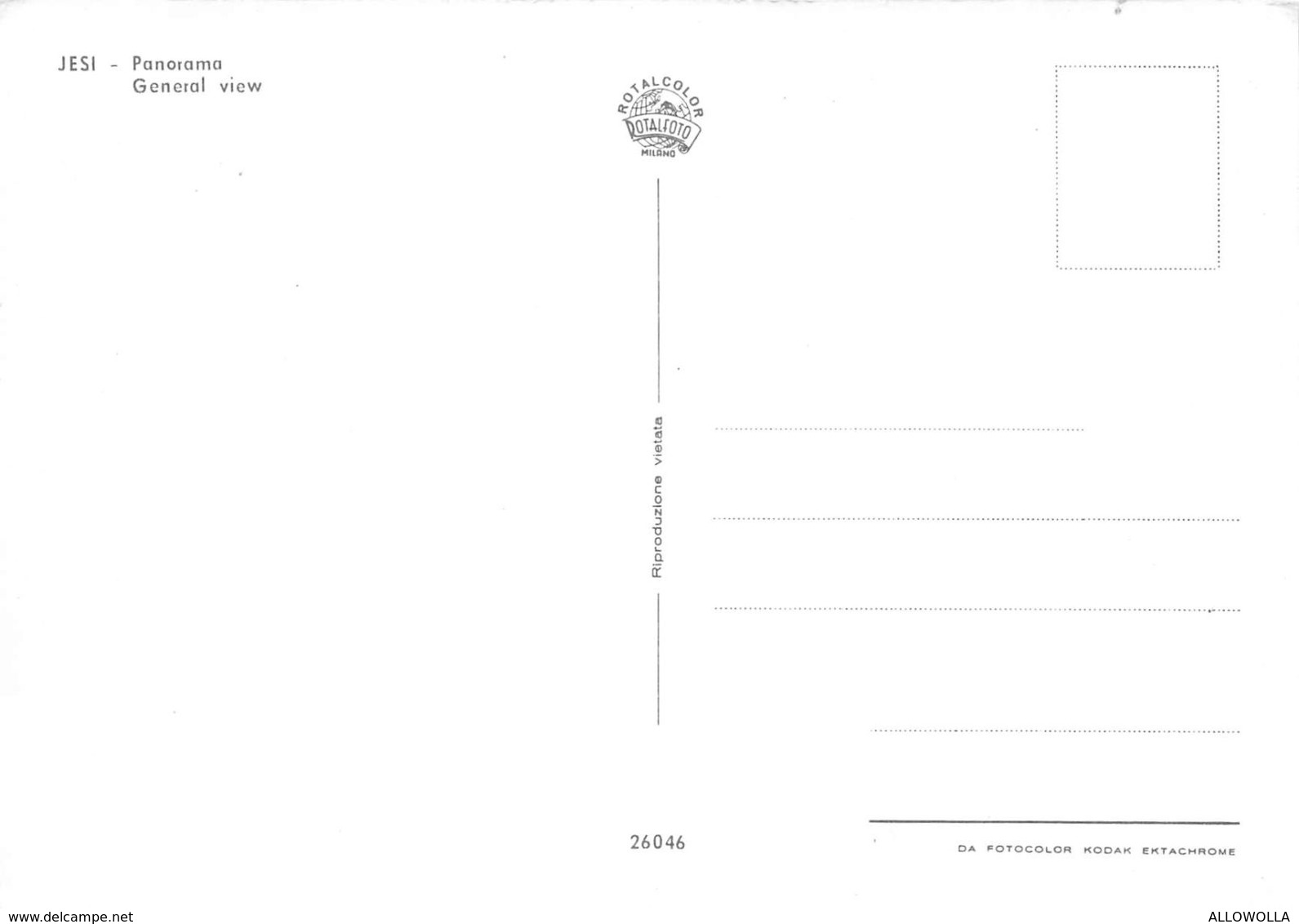 8724 " JESI-PANORAMA "-CARTOLINA POSTALE ORIGINALE NON SPEDITA - Ancona