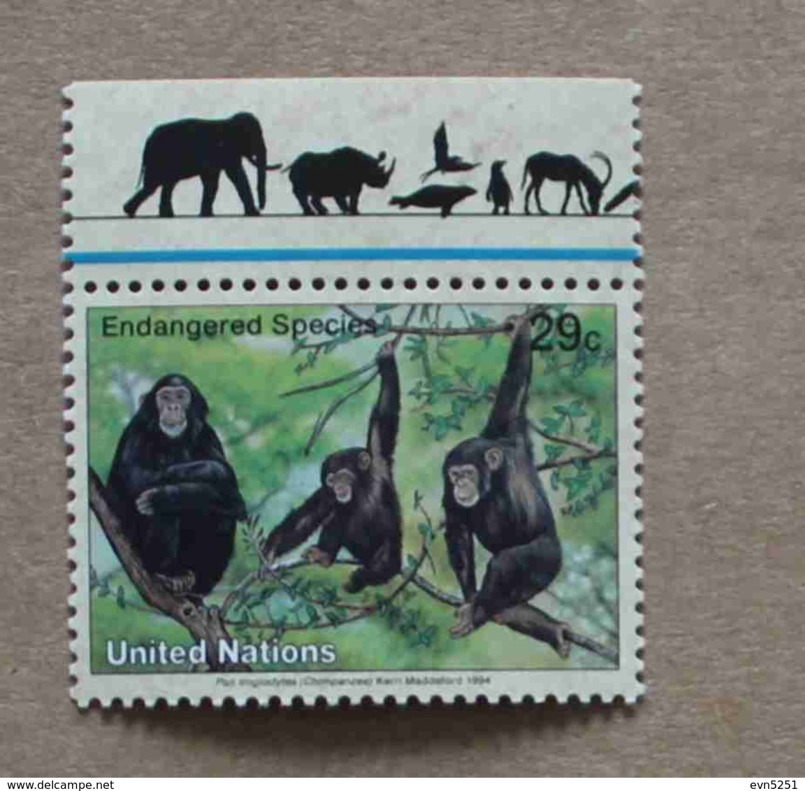 NY94-01 : Nations-Unies (New-York) / Protection De La Nature - Pan Troglodytes (Chimpanzé) - Ongebruikt