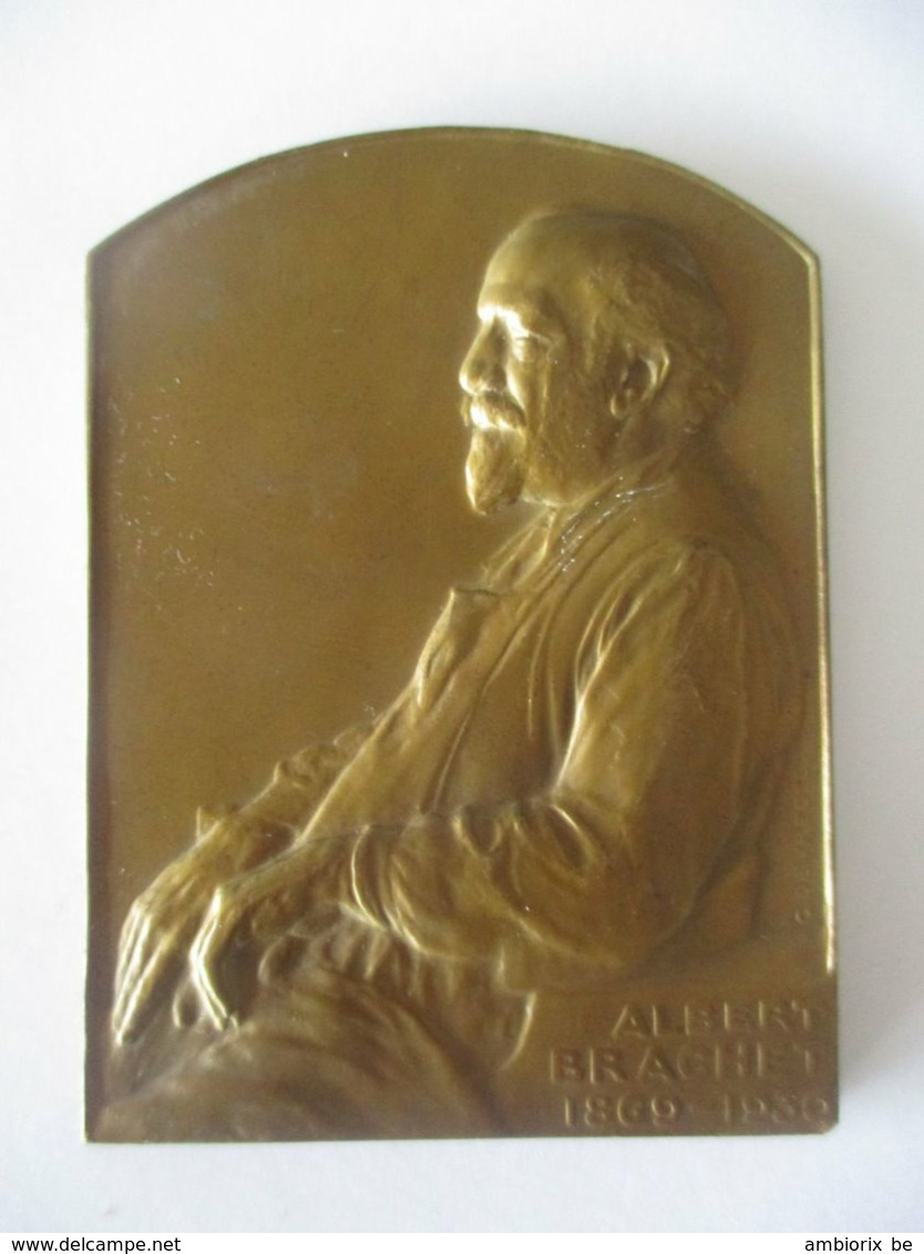 Albert Brachet - 1869-1930 - Ancien Doyen De La Faculté De Médecine De L'ULB - Médaille Par Devreese - Firma's