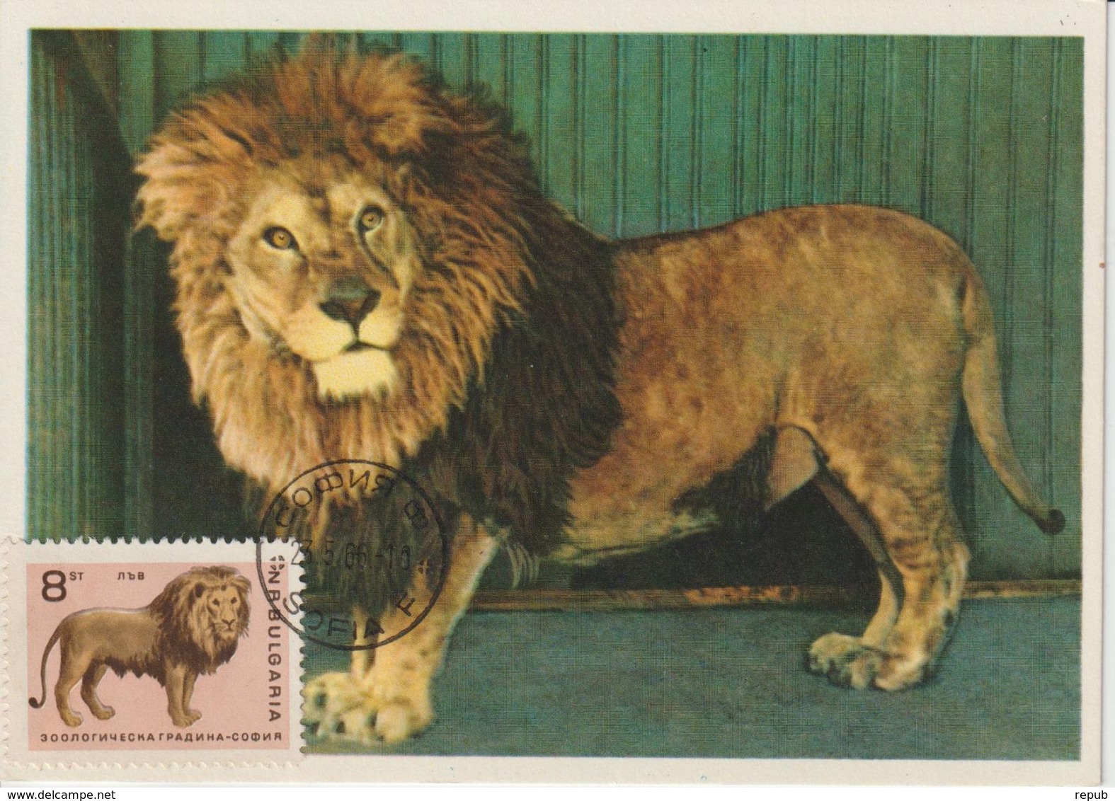 Bulgarie Carte Maximum 1966 Lion 1421 - Briefe U. Dokumente