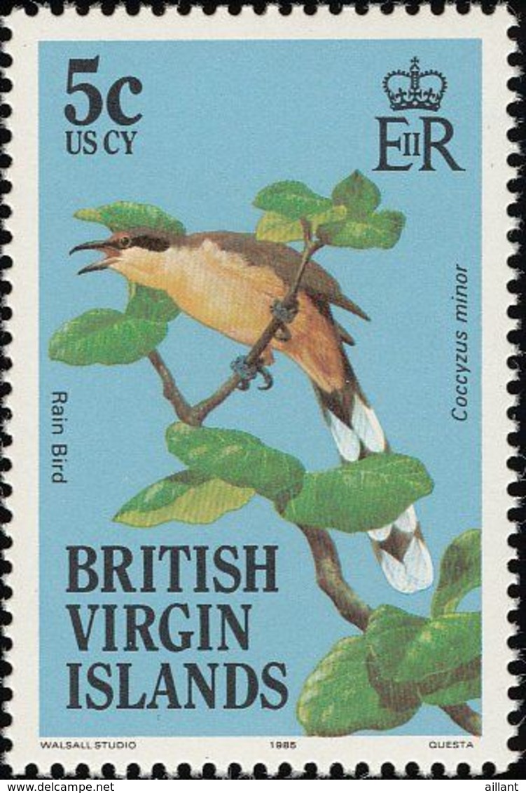 Iles Vierges Britanniques. British Virgin Islands. 1985    Coulicou Manioc  Mangrove Cuckoo - Coucous, Touracos