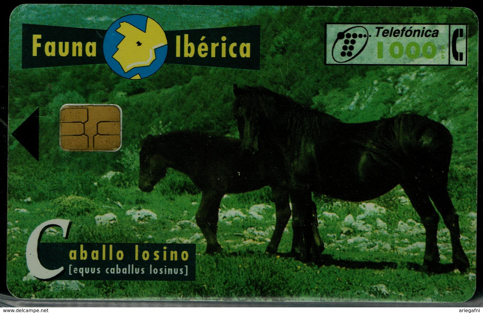 SPAIN 1997 PHONECARD HORSES USED VF!! - Horses