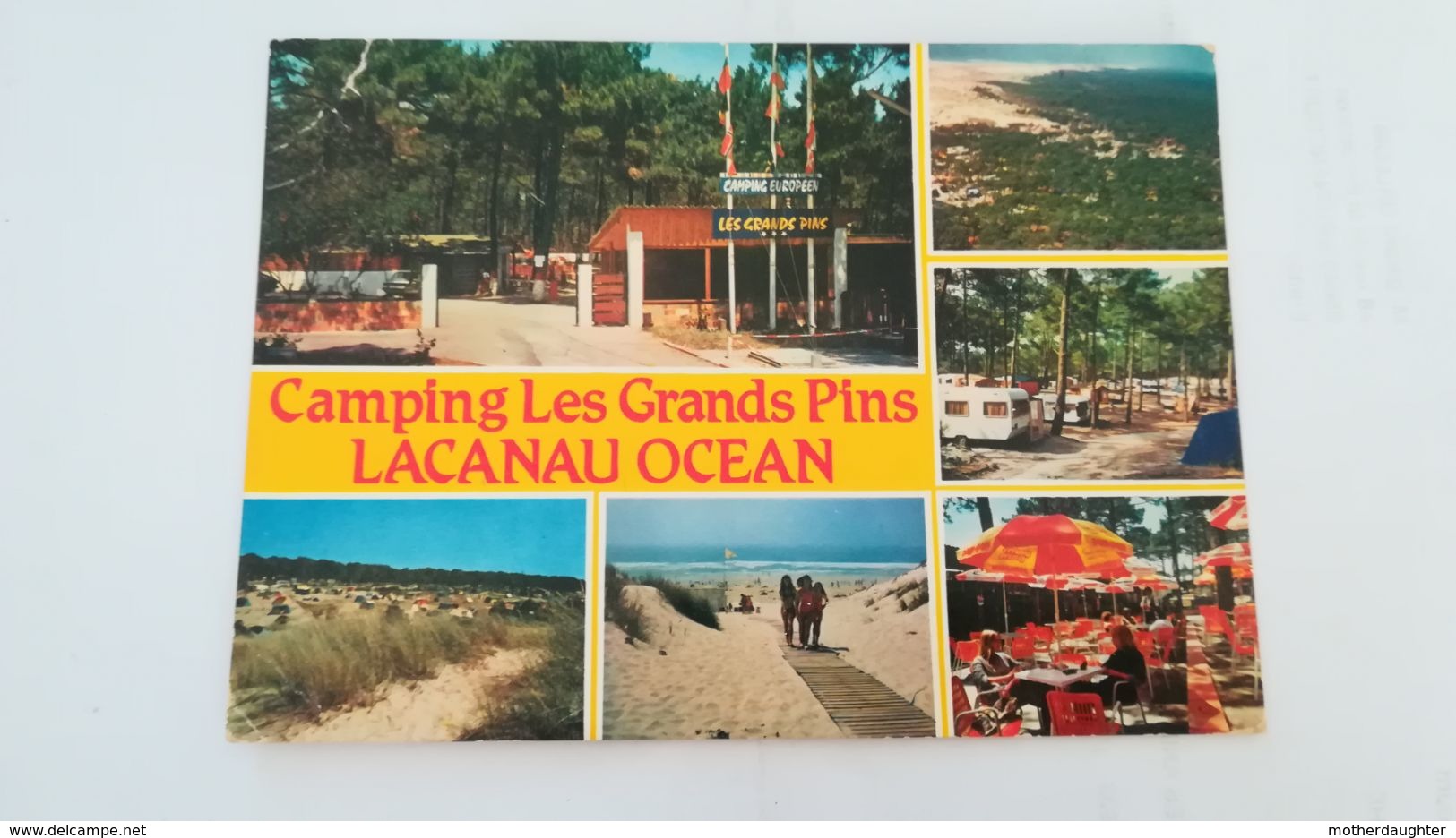 CPSM CIRCULEE EN 1984 - CAMPING LES GRANDS PINS LACANAU OCEAN - Altri & Non Classificati