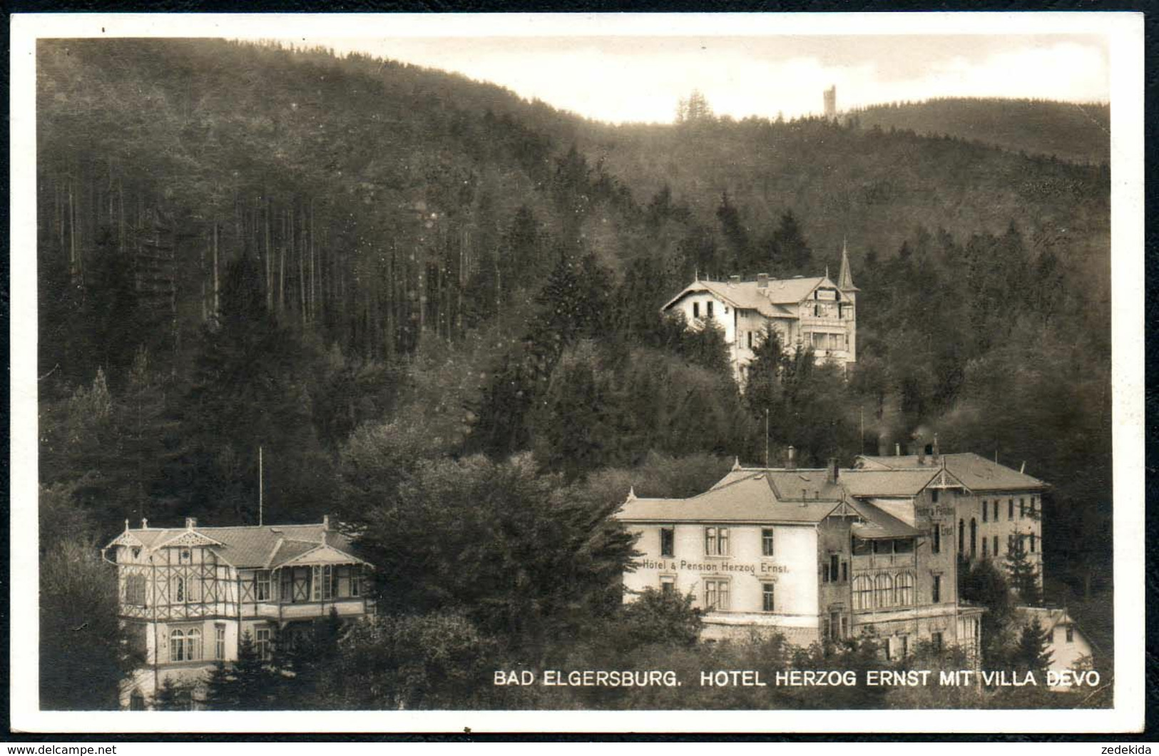 D8296 - Elgersburg Hotel Herzog Ernst Mit Villa Devo - Verlag L. Münch - Elgersburg