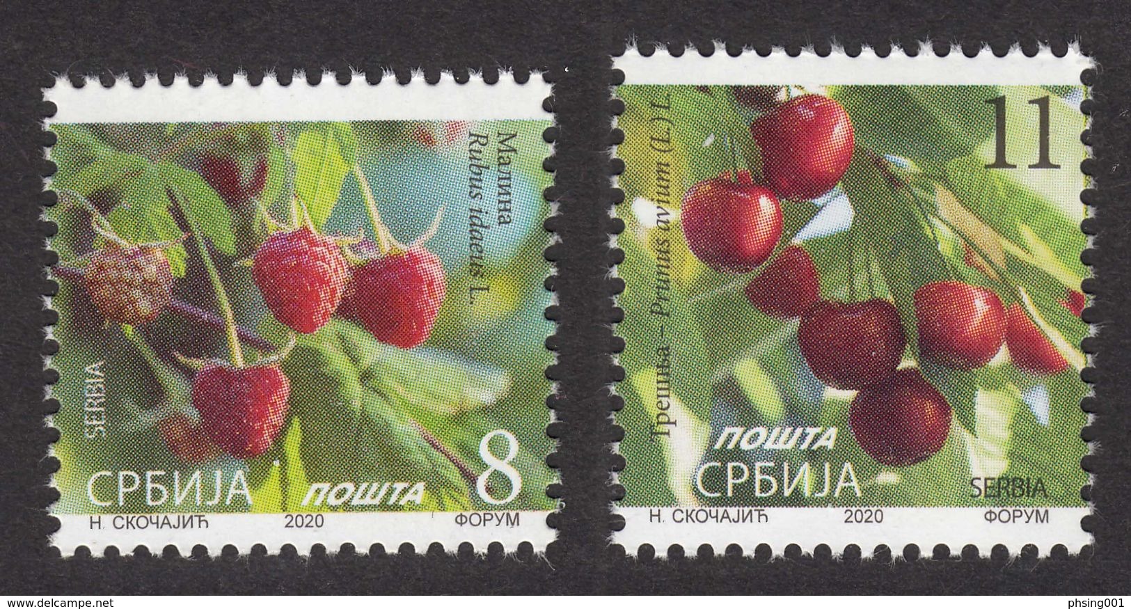 Serbia 2020 Flora Fruits Plants Raspberry Rubus Idaeus L. Cherry Prunus Avium L. Definitive Set MNH - Fruits