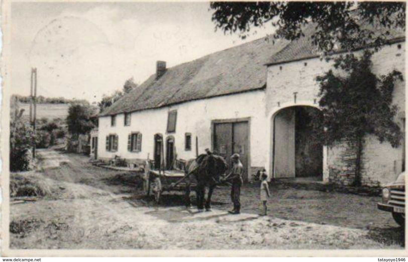 Daverdisse S/lesse Ferme Ardennaise Carte Festonnée Circulé En 1955 - Daverdisse