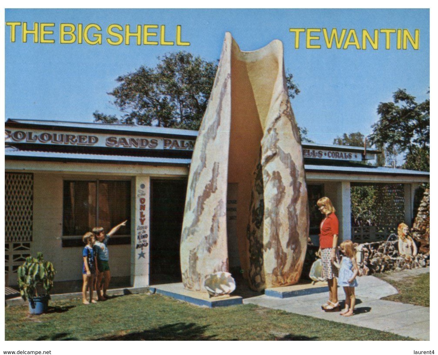 (D 23) Australia - QLD - Big Shell In Tewantin - Sunshine Coast